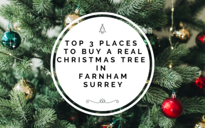 Top 3 Places To Buy A Real Christmas Tree In Farnham Surrey