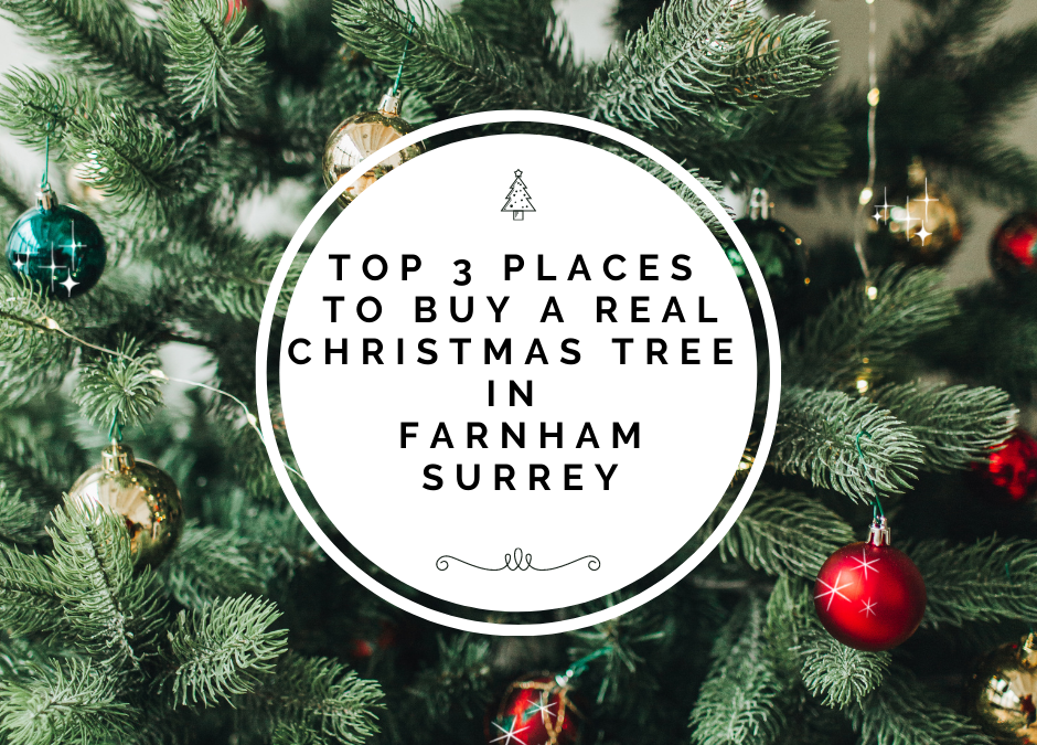 Top 3 Places To Buy A Real Christmas Tree In Farnham Surrey
