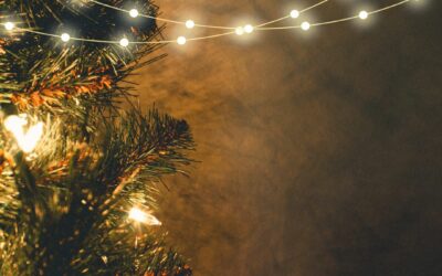 Top Places To Buy A Real Christmas Tree In Farnham Surrey
